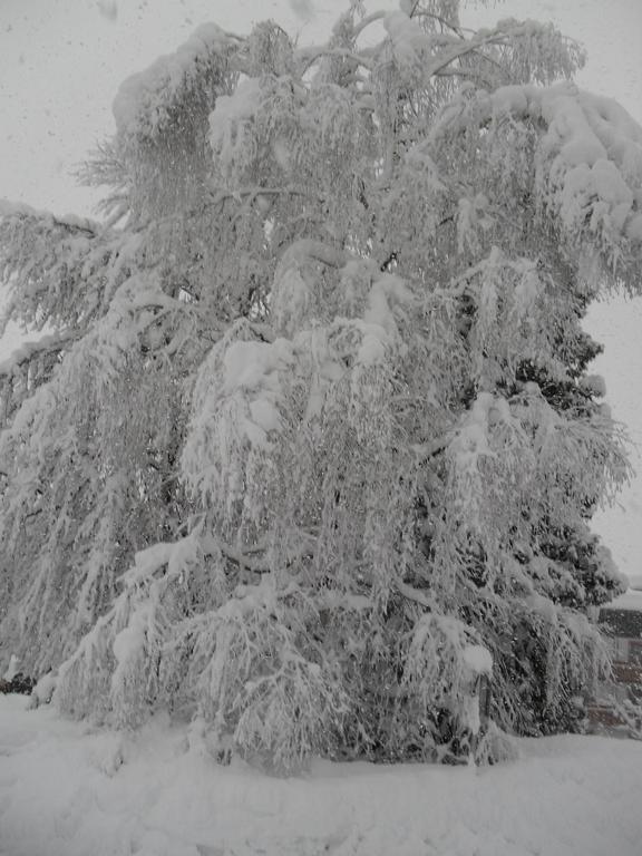 Hotel Jugendgastehaus Oberau Maria Alm am Steinernen Meer Zewnętrze zdjęcie